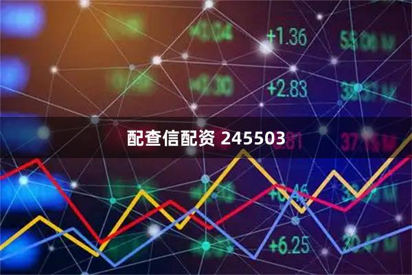 配查信配资 245503