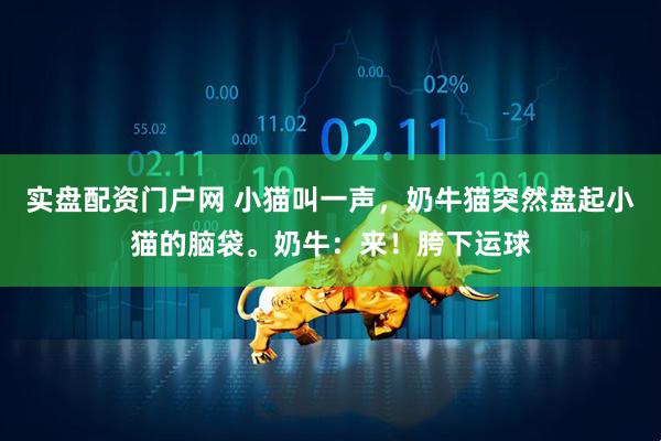 实盘配资门户网 小猫叫一声，奶牛猫突然盘起小猫的脑袋。奶牛：来！胯下运球