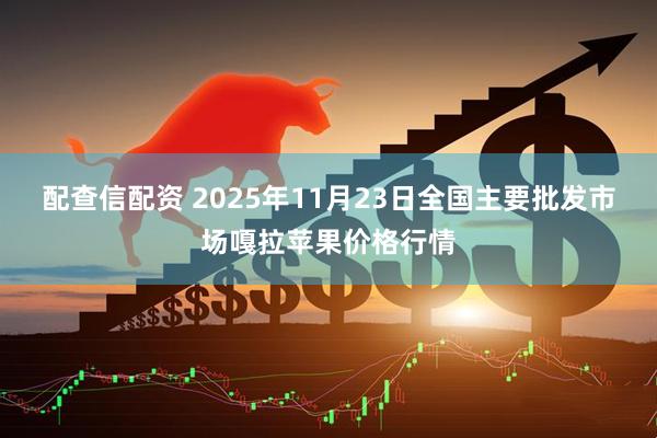 配查信配资 2025年11月23日全国主要批发市场嘎拉苹果价格行情